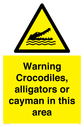 warning-crocodiles-alligators-or-cayman-in-this-area~