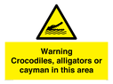 warning-crocodiles-alligators-or-cayman-in-this-area~
