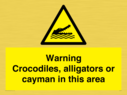 warning-crocodiles-alligators-or-cayman-in-this-area~
