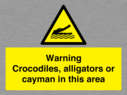 warning-crocodiles-alligators-or-cayman-in-this-area~