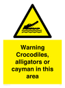 warning-crocodiles-alligators-or-cayman-in-this-area~