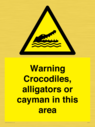warning-crocodiles-alligators-or-cayman-in-this-area~