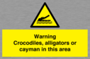 warning-crocodiles-alligators-or-cayman-in-this-area~