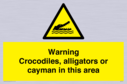 warning-crocodiles-alligators-or-cayman-in-this-area~