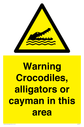 warning-crocodiles-alligators-or-cayman-in-this-area~