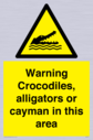 warning-crocodiles-alligators-or-cayman-in-this-area~