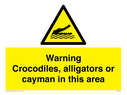 warning-crocodiles-alligators-or-cayman-in-this-area~