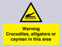 warning-crocodiles-alligators-or-cayman-in-this-area~