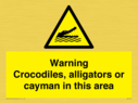 warning-crocodiles-alligators-or-cayman-in-this-area~
