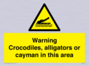 warning-crocodiles-alligators-or-cayman-in-this-area~