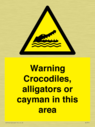 warning-crocodiles-alligators-or-cayman-in-this-area~
