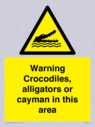 warning-crocodiles-alligators-or-cayman-in-this-area~