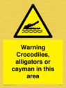 warning-crocodiles-alligators-or-cayman-in-this-area~