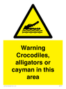 warning-crocodiles-alligators-or-cayman-in-this-area~