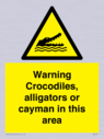 warning-crocodiles-alligators-or-cayman-in-this-area~