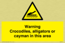 warning-crocodiles-alligators-or-cayman-in-this-area~
