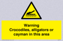 warning-crocodiles-alligators-or-cayman-in-this-area~
