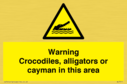 warning-crocodiles-alligators-or-cayman-in-this-area~