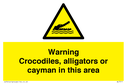 warning-crocodiles-alligators-or-cayman-in-this-area~