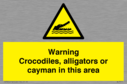 warning-crocodiles-alligators-or-cayman-in-this-area~