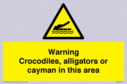 warning-crocodiles-alligators-or-cayman-in-this-area~