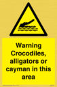 warning-crocodiles-alligators-or-cayman-in-this-area~