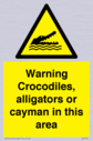 warning-crocodiles-alligators-or-cayman-in-this-area~