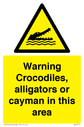warning-crocodiles-alligators-or-cayman-in-this-area~