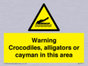 warning-crocodiles-alligators-or-cayman-in-this-area~