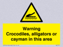 warning-crocodiles-alligators-or-cayman-in-this-area~