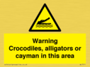 warning-crocodiles-alligators-or-cayman-in-this-area~