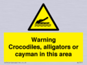 warning-crocodiles-alligators-or-cayman-in-this-area~
