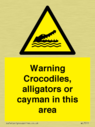 warning-crocodiles-alligators-or-cayman-in-this-area~