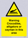 warning-crocodiles-alligators-or-cayman-in-this-area~