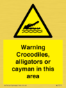 warning-crocodiles-alligators-or-cayman-in-this-area~