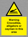 warning-crocodiles-alligators-or-cayman-in-this-area~