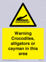 warning-crocodiles-alligators-or-cayman-in-this-area~