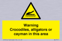 warning-crocodiles-alligators-or-cayman-in-this-area~