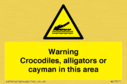 warning-crocodiles-alligators-or-cayman-in-this-area~