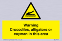 warning-crocodiles-alligators-or-cayman-in-this-area~