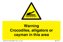 warning-crocodiles-alligators-or-cayman-in-this-area~