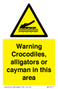 warning-crocodiles-alligators-or-cayman-in-this-area~