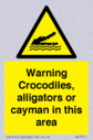 warning-crocodiles-alligators-or-cayman-in-this-area~