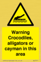 warning-crocodiles-alligators-or-cayman-in-this-area~