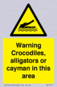 warning-crocodiles-alligators-or-cayman-in-this-area~