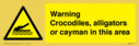 warning-crocodiles-alligators-or-cayman-in-this-area~