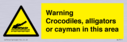 warning-crocodiles-alligators-or-cayman-in-this-area~