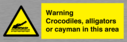 warning-crocodiles-alligators-or-cayman-in-this-area~