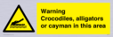 warning-crocodiles-alligators-or-cayman-in-this-area~