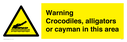 warning-crocodiles-alligators-or-cayman-in-this-area~